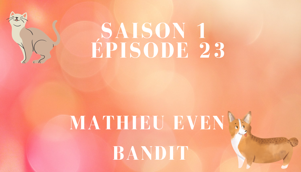 Épisode 23 : Mathieu Even et BANDIT