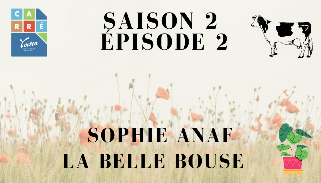S2 – Épisode 2 : Sophie Anaf, La Belle Bouse et Carré by Voisin